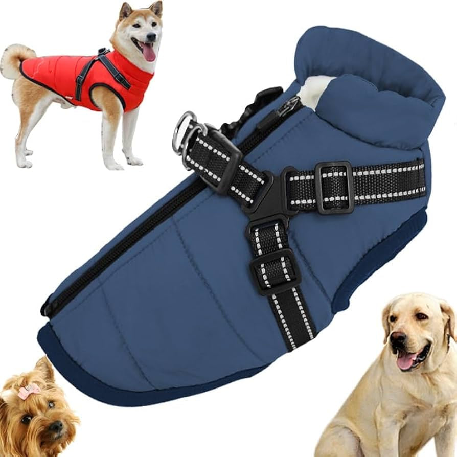 Honden kleding